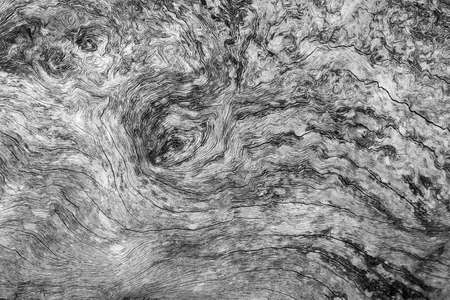 Black and white wood curve line texture and background horizontal shapeの写真素材