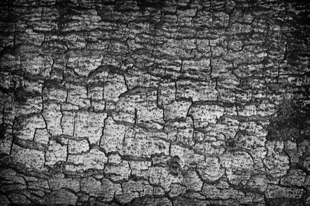 Grunge black and white abstract distress background or texture, horizontal shape with space for your designの写真素材