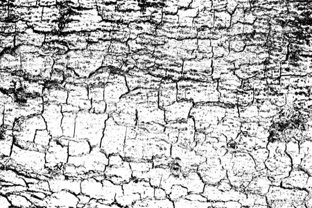 Grunge black and white abstract distress background or texture, horizontal shape with space for your designの写真素材