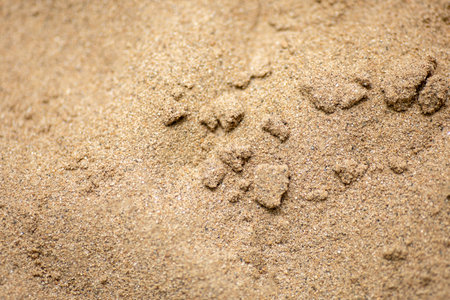 Sand texture or background, Brown color.の写真素材