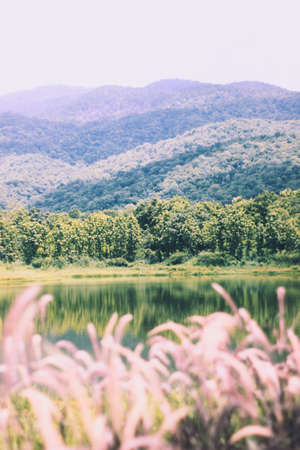 Enjoy your summer time and relief all of your stress from the last six moths. Take a deep breath and relax.の写真素材