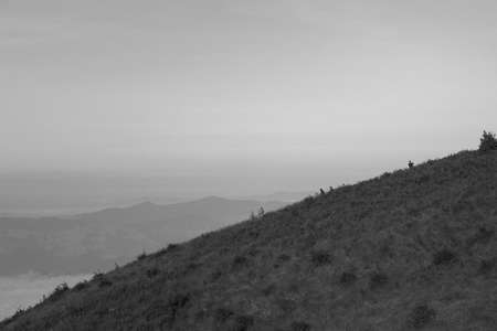 Cold season in Chiang Mai, Thailandの写真素材