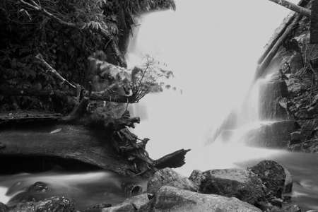 Cold season in Chiang Mai, Thailandの写真素材