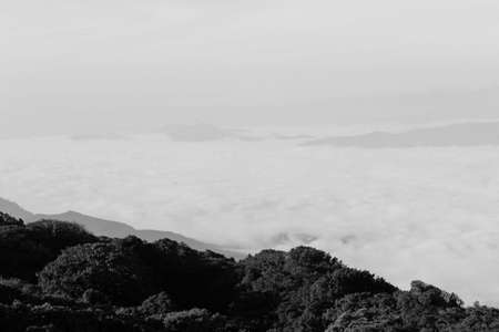 Cold season in Chiang Mai, Thailandの写真素材