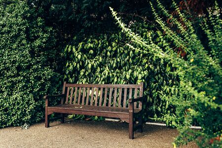 London/UK - 17/07/2019: The memorial bench, installed in one of the parks in London. A memorial bench or memorial seat is a piece of furniture which commemorates a person who has diedのeditorial素材