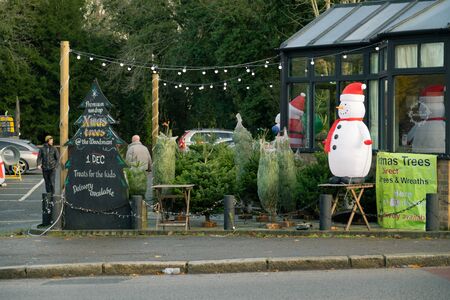 London / UK - Dec 01, 2019: Christmas Trees market in London. Christmas is one of the most desirable holidays in the yearのeditorial素材