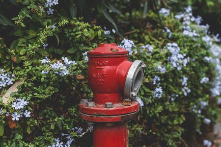 A fire hydrant on a street in Tel Aviv, Israel. A fire hydrant is a connection point by which...
