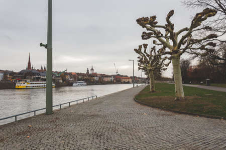 Wurzburg/Germany-3/1/19: line of trees on Leonhard-Frank-Promenade along the river Main in Wurzburg,...