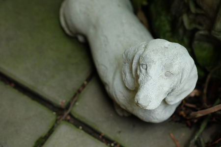 Cement statues Dog breed dachshund sits on the floor.の写真素材