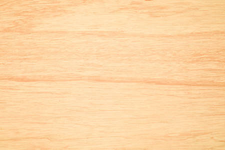 Wood background texture close up