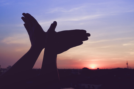 silhouette of a hand gesture like bird flying on a background sunset.の写真素材