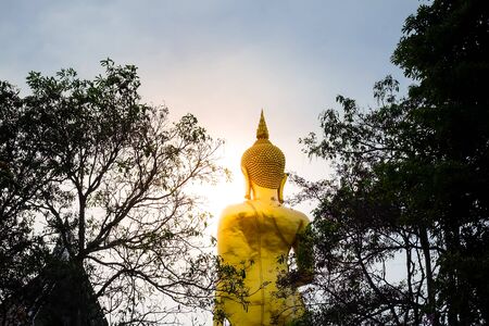 Golden Buddha illuminated with tree silhouette on the sky background.の写真素材
