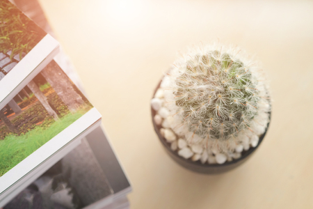 Cactus flower blooming on the wooden table with book, vintage toneの写真素材