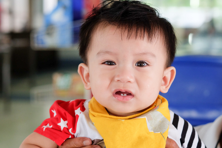 Asian boys are looking for interesting things and learning.の写真素材