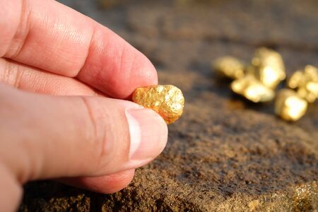 The pure gold ore found in the mine is in the hands of menの写真素材