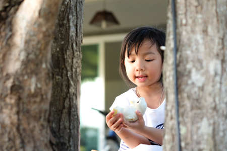 Asian cute Child girl holding a toy behind a tree,の写真素材