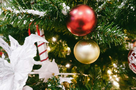The golden and red ball is decorated on a Christmas tree background.の写真素材