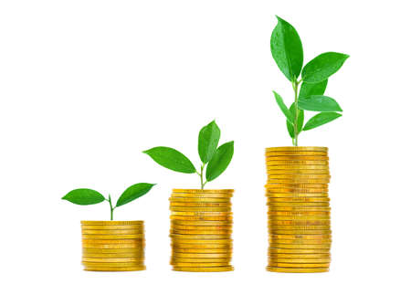 Tree on Gold coin stacked 3 step or graphs on a white background, Business growth conceptの写真素材