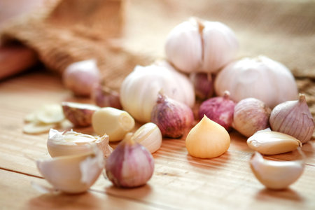Garlic bulb head and cloves on wooden floor, Herbs and spices are important in cookingの写真素材