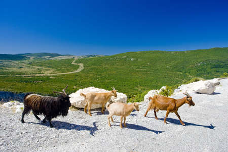 Verdon Gorge, Provence, Franceの写真素材