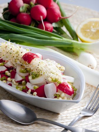 radish salad with mungo and alfalfaの写真素材