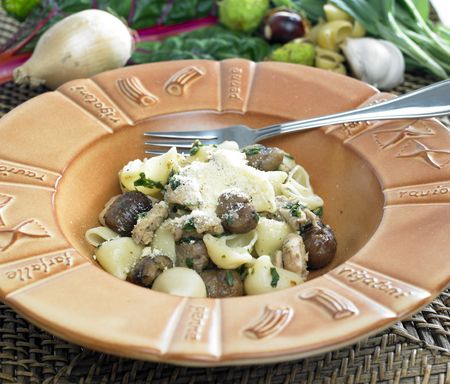 pasta with chicken and chestnuts on sageの写真素材
