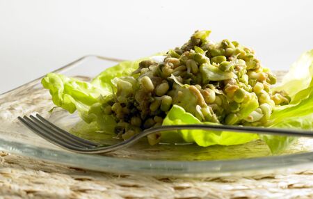 salad with mungo and tuna fishの写真素材