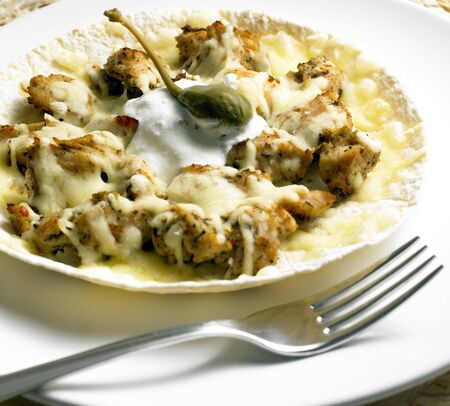 chicken meat baked on tortillaの写真素材