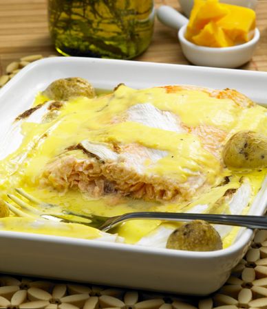 salmon and endive baked with chedar sauceの写真素材