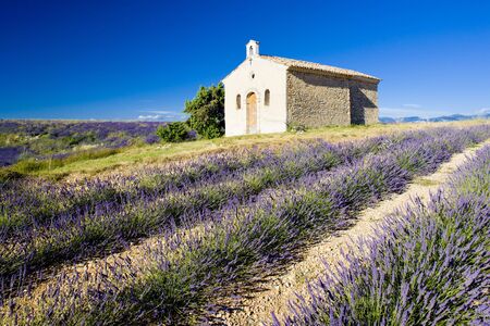 chapel with lavender field, Plateau de Valensole, Provence, Franceの写真素材