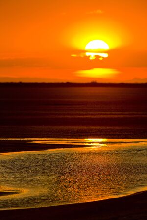 sunset, Parc Regional de Camargue, Provence, Franceの写真素材