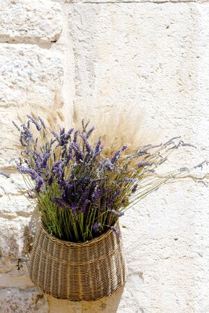 bunch of lavenders, Aiguines, Var Departement, Provence, Franceの写真素材