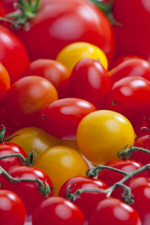 tomatoesの写真素材