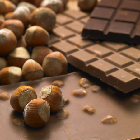 chocolate bars with hazelnuts