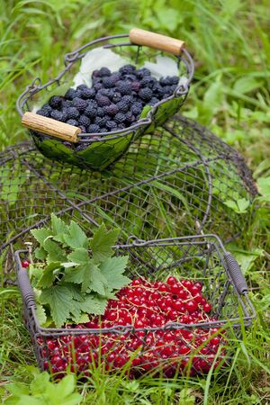 fruit in basketsの写真素材