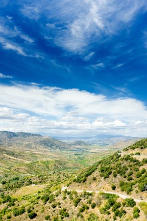 Douro Valley, Portugalの写真素材