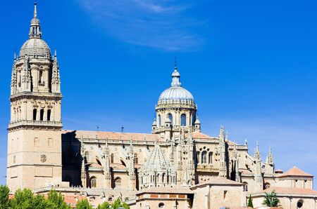Salamanca, Castile and Leon, Spainの写真素材
