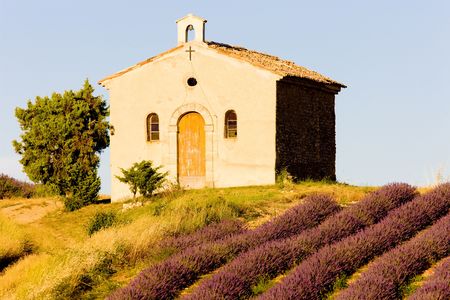 chapel with lavender field, Plateau de Valensole, Provence, Franceの写真素材