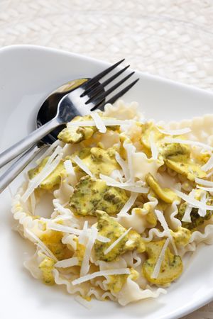 pasta with chicken meat and curryの写真素材