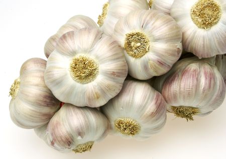 garlicの写真素材