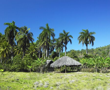 Parque Nacional Alejadro de Humboldt, Guantanamo Province, Cubaの写真素材