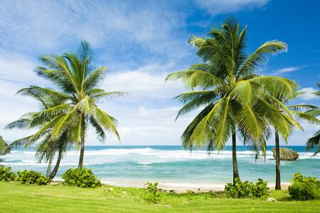 Bathsheba, East coast of Barbados, Caribbeanの写真素材