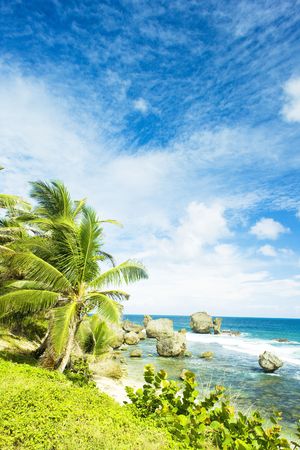 Bathsheba, East coast of Barbados, Caribbeanの写真素材