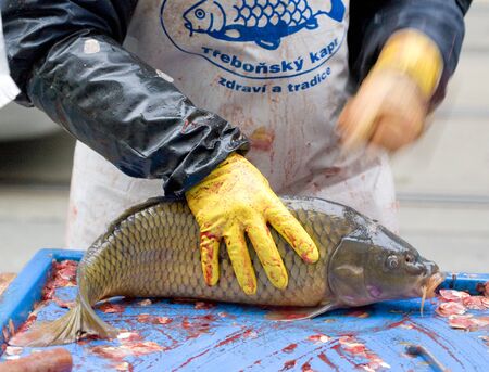 sale of Christmas carps (Czech Christmas tradition), Czech Republic