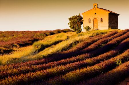 chapel with lavender field, Plateau de Valensole, Provence, Franceの写真素材