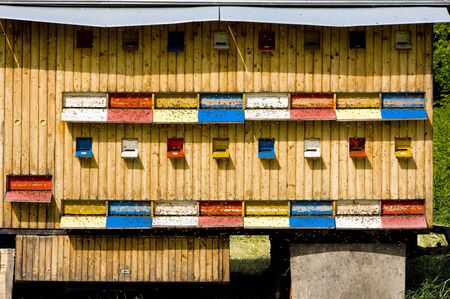 beehive, Slovakiaの写真素材