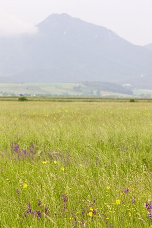 Strazovske Vrchy, Slovakiaの写真素材
