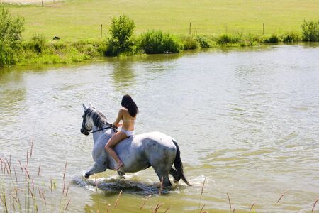 equestrian on horseback riding through waterの写真素材