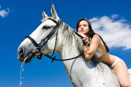 equestrian on horsebackの写真素材