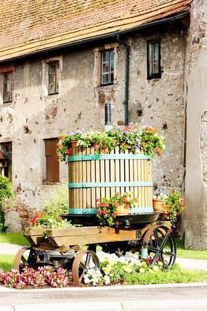 wine-press, Chatenois, Alsace, Franceの写真素材